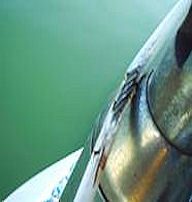 offers image 3a